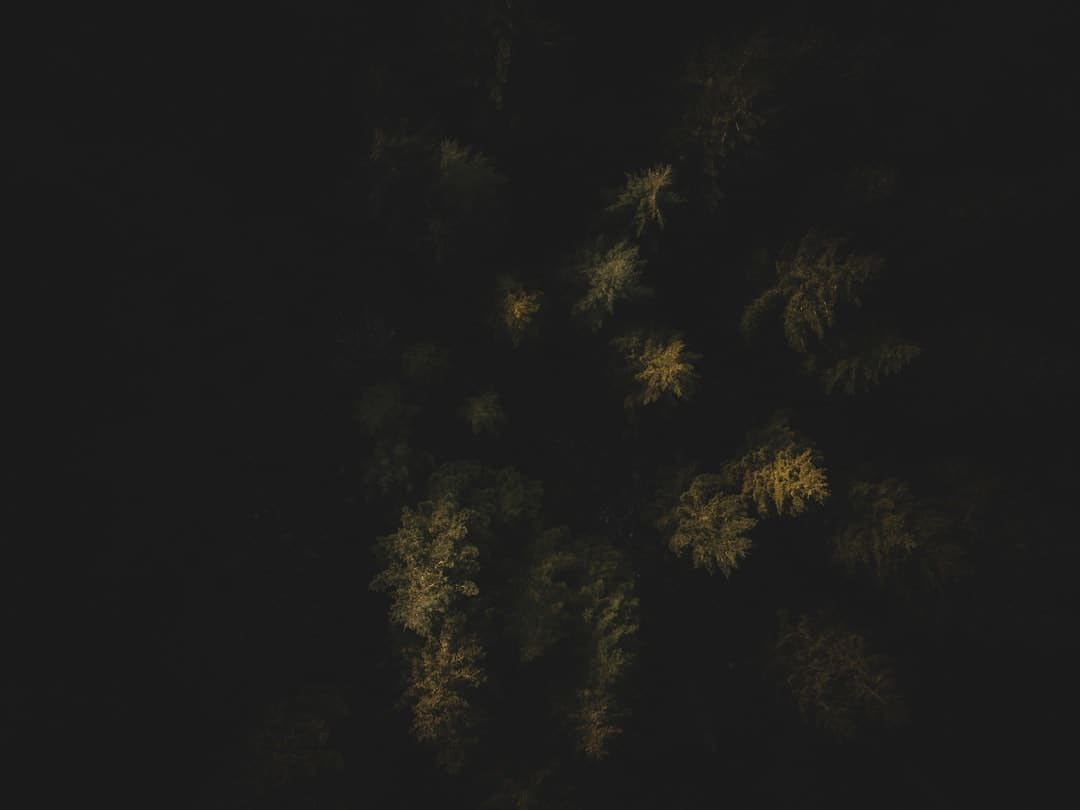 邂逅敦煌风华！张大千敦煌岩画描摹特展露脸博龙大观艺术中心